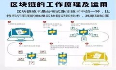 TP钱包导入钱包的完整指南
