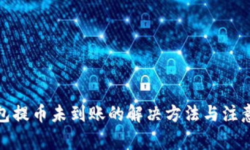tp钱包提币未到账的解决方法与注意事项