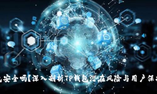 TP钱包安全吗？深入剖析TP钱包潜在风险与用户保护措施