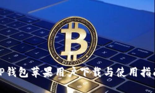 TP钱包苹果用户下载与使用指南