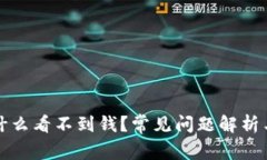TP钱包为什么看不到钱？常
