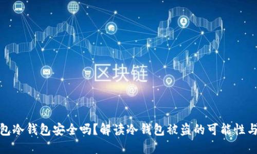 TP钱包冷钱包安全吗？解读冷钱包被盗的可能性与风险
