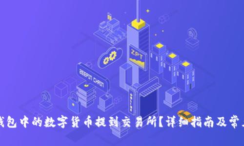 如何将TP钱包中的数字货币提到交易所？详细指南及常见问题解答