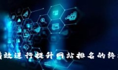 如何有效进行提升网站排名的终极指南