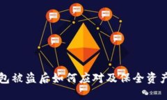 TP钱包被盗后如何应对及保全资产指南