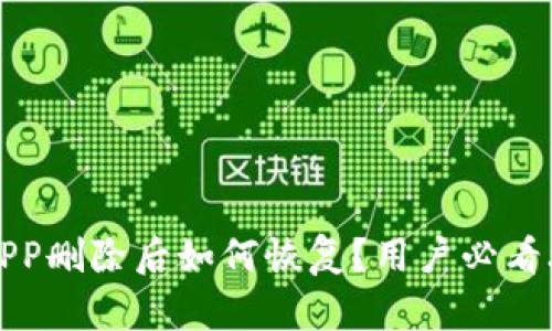 TP钱包APP删除后如何恢复？用户必看攻略分析