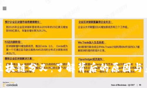 保罗币区块链分叉：了解背后的原因与未来发展