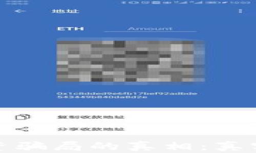 
揭开虚拟币区块链投资骗局的真相：真实案例剖析与防范策略