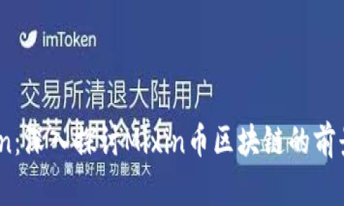 MxToken：深入探讨Mixin币区块链的前景与应用