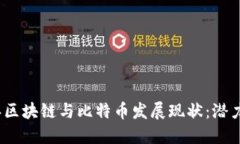 2023年区块链与比特币发展