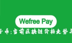 探索薛蛮子币：当前区块