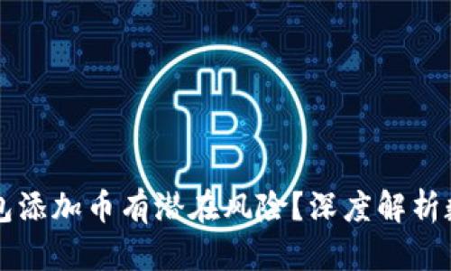 为什么使用TP钱包添加币有潜在风险？深度解析数字货币的安全性