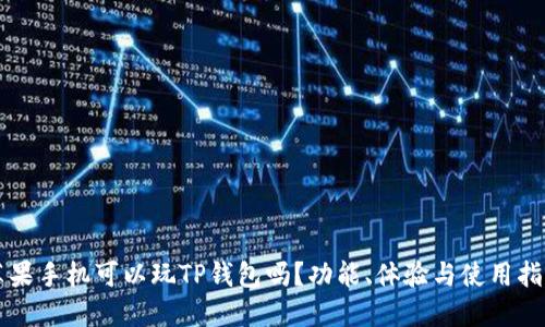 苹果手机可以玩TP钱包吗？功能、体验与使用指南