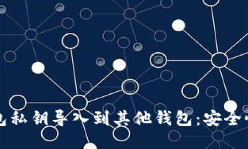 如何将TP钱包私钥导入到其他钱包：安全性与操作指南