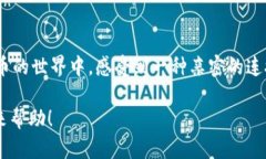    如何使用区块链浏览器