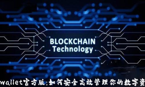 
TPwallet官方版：如何安全高效管理你的数字资产