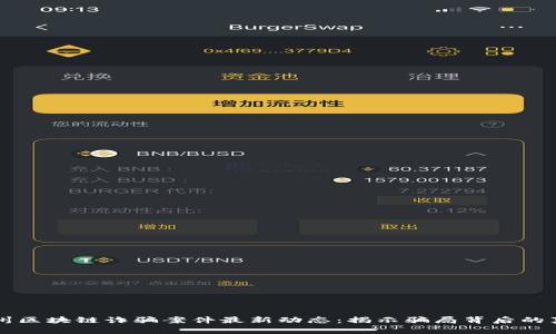 郑州区块链诈骗案件最新动态：揭示骗局背后的真相