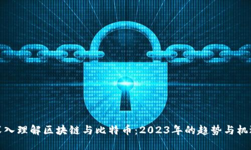 深入理解区块链与比特币：2023年的趋势与机遇