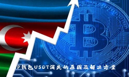 TP钱包USDT消失的原因及解决方案