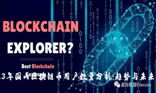 2023年国内区块链币用户数量分析：趋势与未来展望