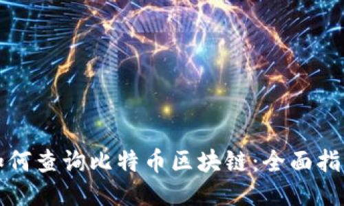 如何查询比特币区块链：全面指南