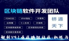   全面解析V91币区块链社区