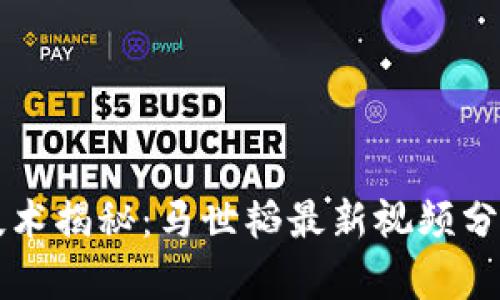 区块链技术揭秘：马世韬最新视频分析与解读