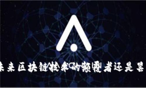  派币：未来区块链技术的颠覆者还是昙花一现？