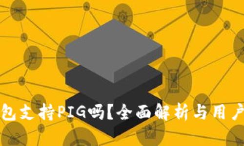 TP钱包支持PIG吗?全面解析与用户指南