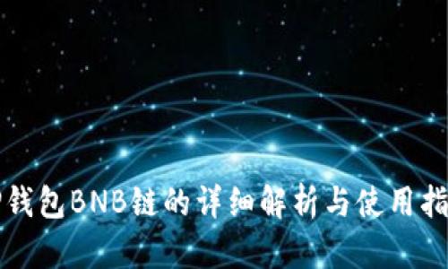 TP钱包BNB链的详细解析与使用指南