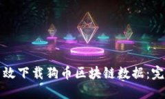 如何高效下载狗币区块链数据：完整指南