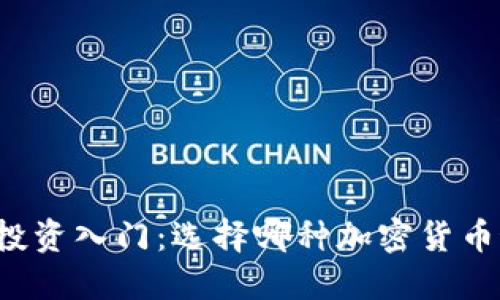 区块链投资入门：选择哪种加密货币最合适？