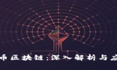 波奇亚币区块链：深入解析与应用前景