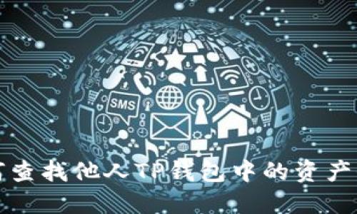 如何查找他人TP钱包中的资产信息
