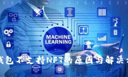 TP钱包不支持NFT的原因与解决方案