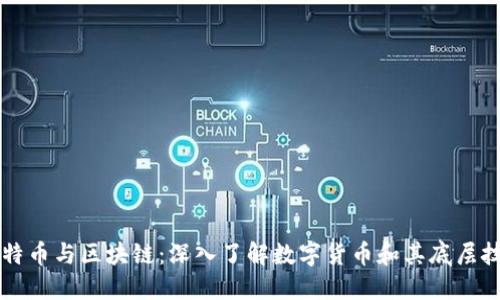 比特币与区块链：深入了解数字货币和其底层技术