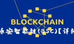 如何在TP钱包中导入币安智能链(BSC)？详细指南与