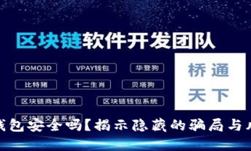 TP钱包安全吗？揭示隐藏的骗局与风险
