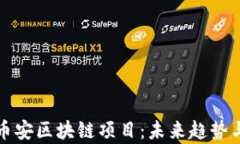 全面解析币安区块链项目：未来趋势与应用前景