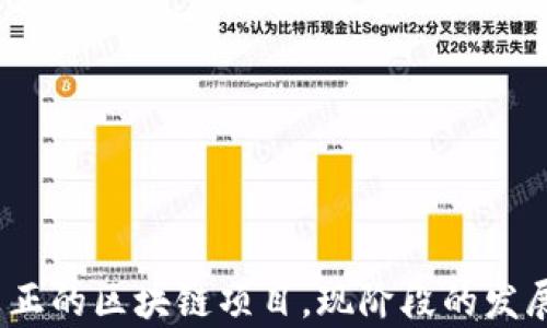 
派币：一个真正的区块链项目，现阶段的发展与前景分析