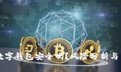 下载TP数字钱包安全吗？风险分析与用户指南